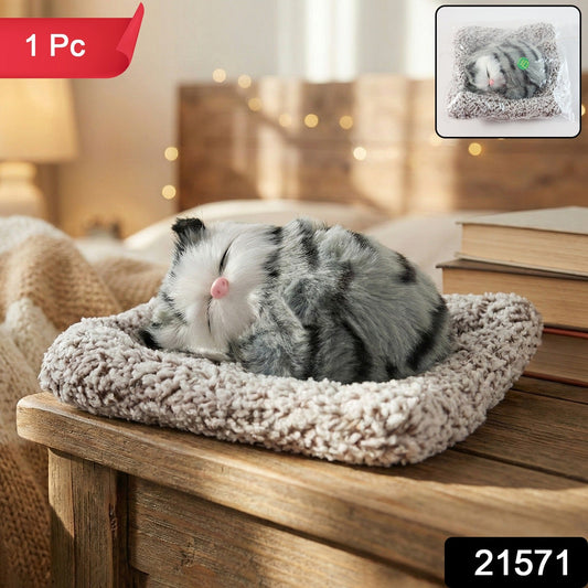 Cute car dashboard cat